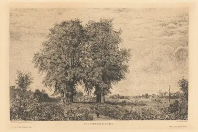 Les Ormeaux de Cénon