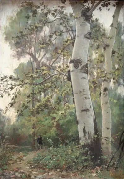 Les peupliers argentés du bosquet