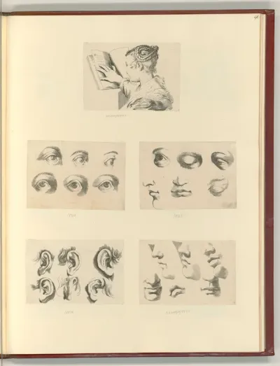 Lesende Frau; Anatomische Studien