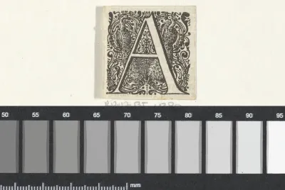 Letter A in een omlijsting met twee pauwen