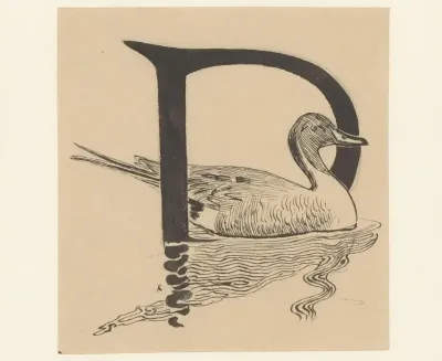 Letter D met eend in het water