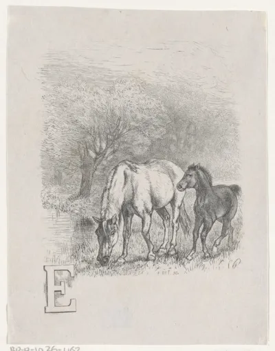 Letter E en een landschap met een paard en een veulen