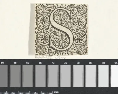 Letter S in een omlijsting met bloemen