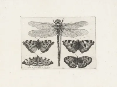 Libelle en vier vlinders