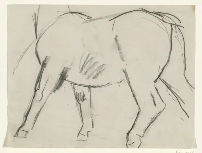 Lichaam van een paard