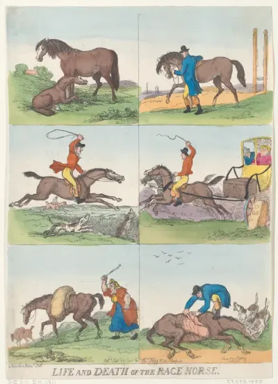 Life and Death of the Race Horse