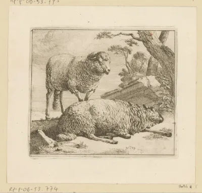 Liggend en staand schaap