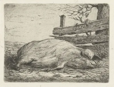 Liggend everzwijn
