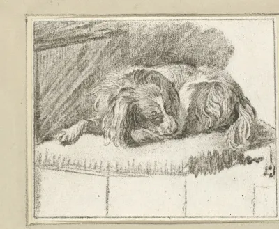 Liggend hondje