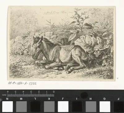 Liggend paard voor enkele planten
