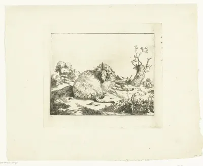 Liggend schaap, bij knotwilg