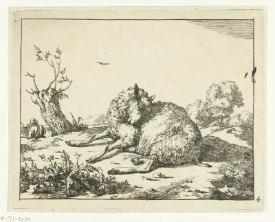 Liggend schaap, bij knotwilg