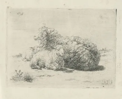 Liggend schaap en twee lammeren