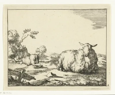 Liggend schaap, hekje op voorgrond