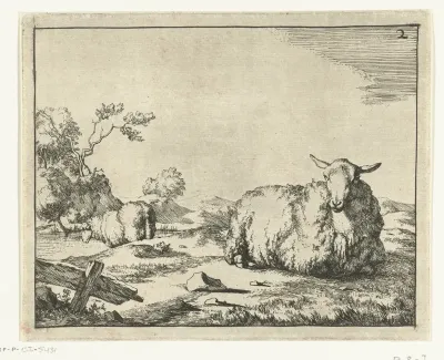 Liggend schaap, hekje op voorgrond
