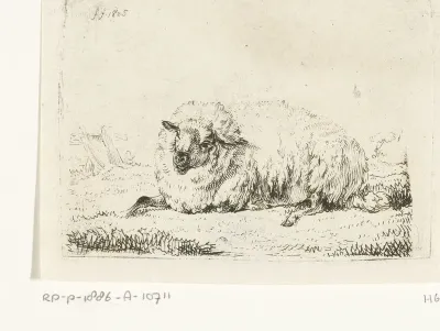 Liggend schaap met dikke vacht
