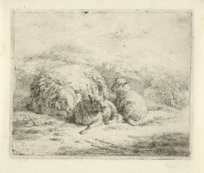 Liggend schaap met twee lammeren