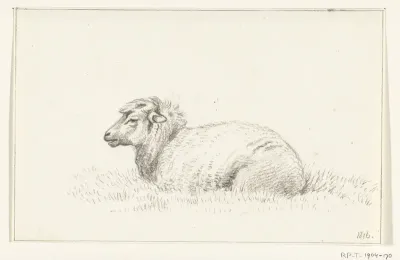 Liggend schaap, naar links