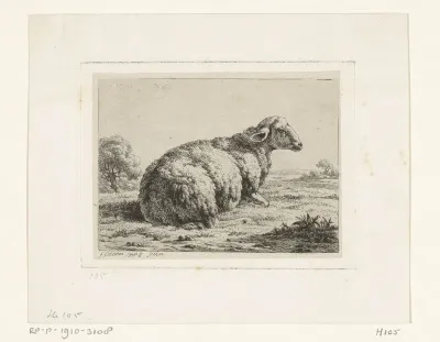 Liggend schaap, naar rechts