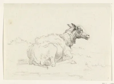 Liggend schaap, naar rechts