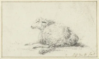 Liggend schaap, schuin van achteren