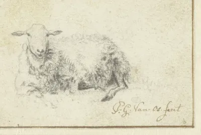 Liggend schaap, van voren