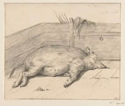 Liggend varken, in de hoek van een hok