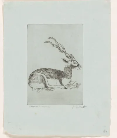 Liggende antilope