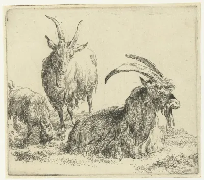 Liggende bok en geit met bokje