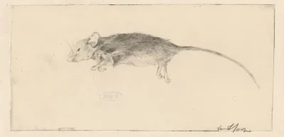 Liggende dode muis