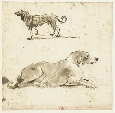 Liggende en een lopende hond