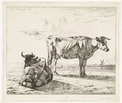 Liggende en staande koe in een weiland