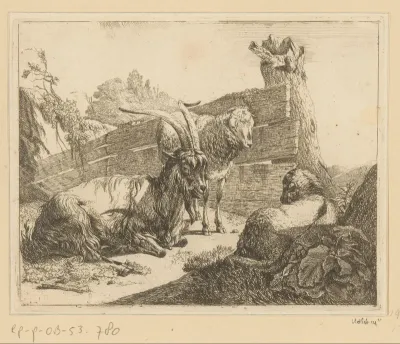 Liggende geit en schaap en staand schaap bij houten hek