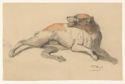 Liggende hond