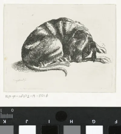 Liggende hond