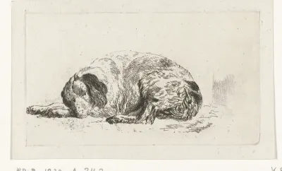 Liggende hond