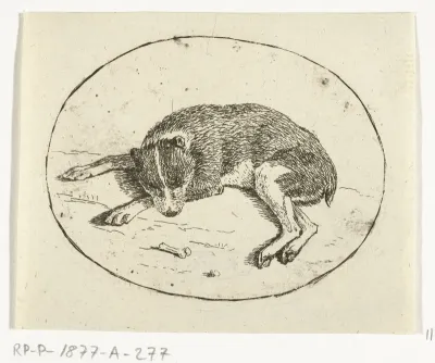 Liggende hond