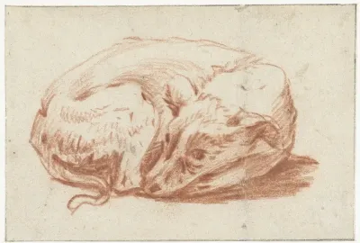 Liggende hond