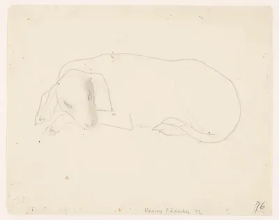 Liggende hond