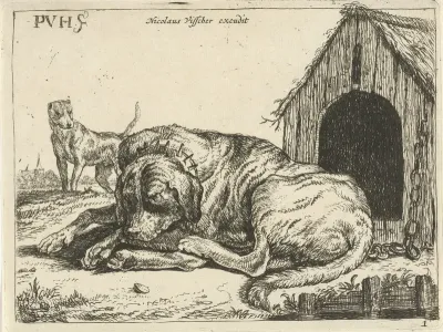 Liggende hond aan een ketting