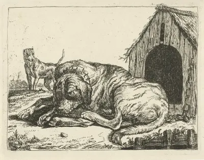 Liggende hond aan een ketting