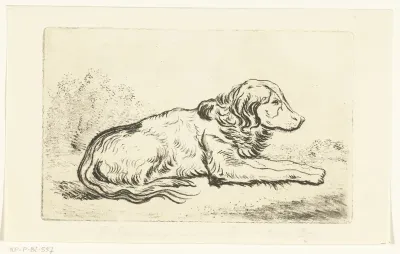 Liggende hond in landschap