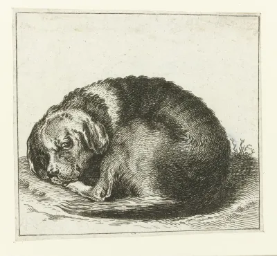 Liggende hond met vlekken
