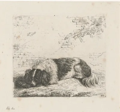 Liggende hond naar links