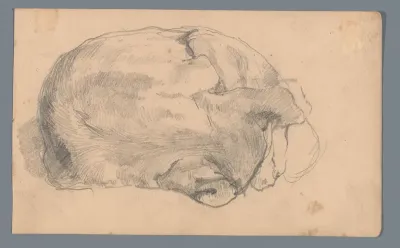 Liggende hond of kat