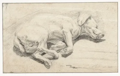 Liggende hond, slapend