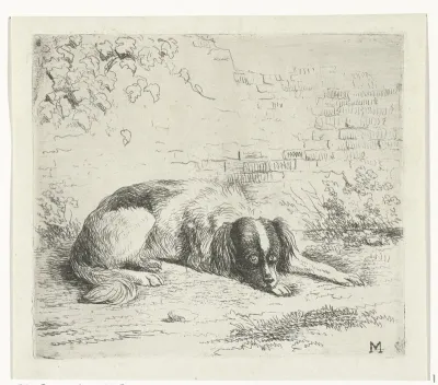 Liggende hond voor een muurtje