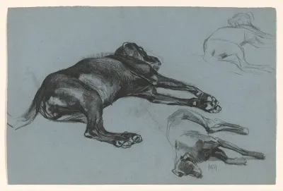 Liggende honden