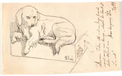 Liggende hund