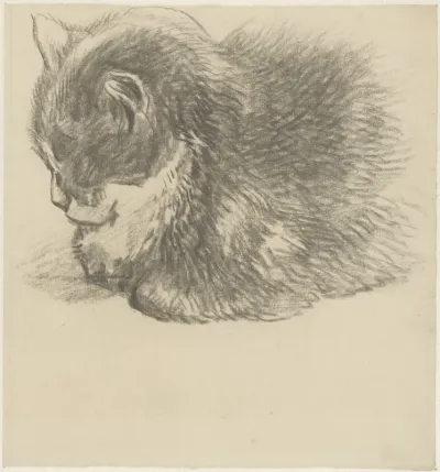 Liggende kat, naar links